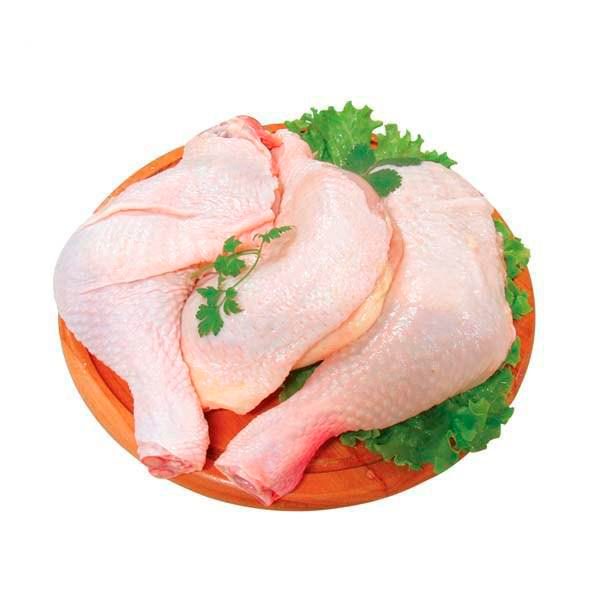Coxa sobre Coxa Dorsal (KG)